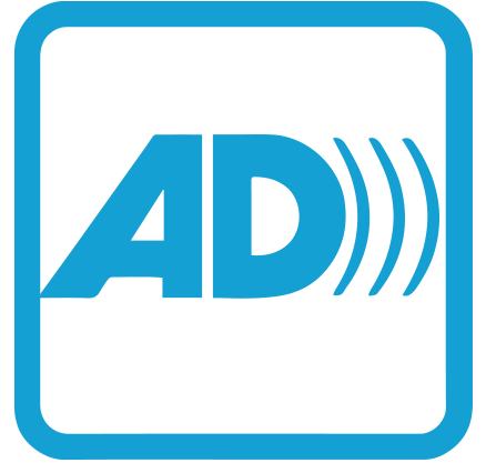 Audio Described Performance